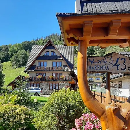 Apartamenty Folk Dream Harenda Zakopane-2